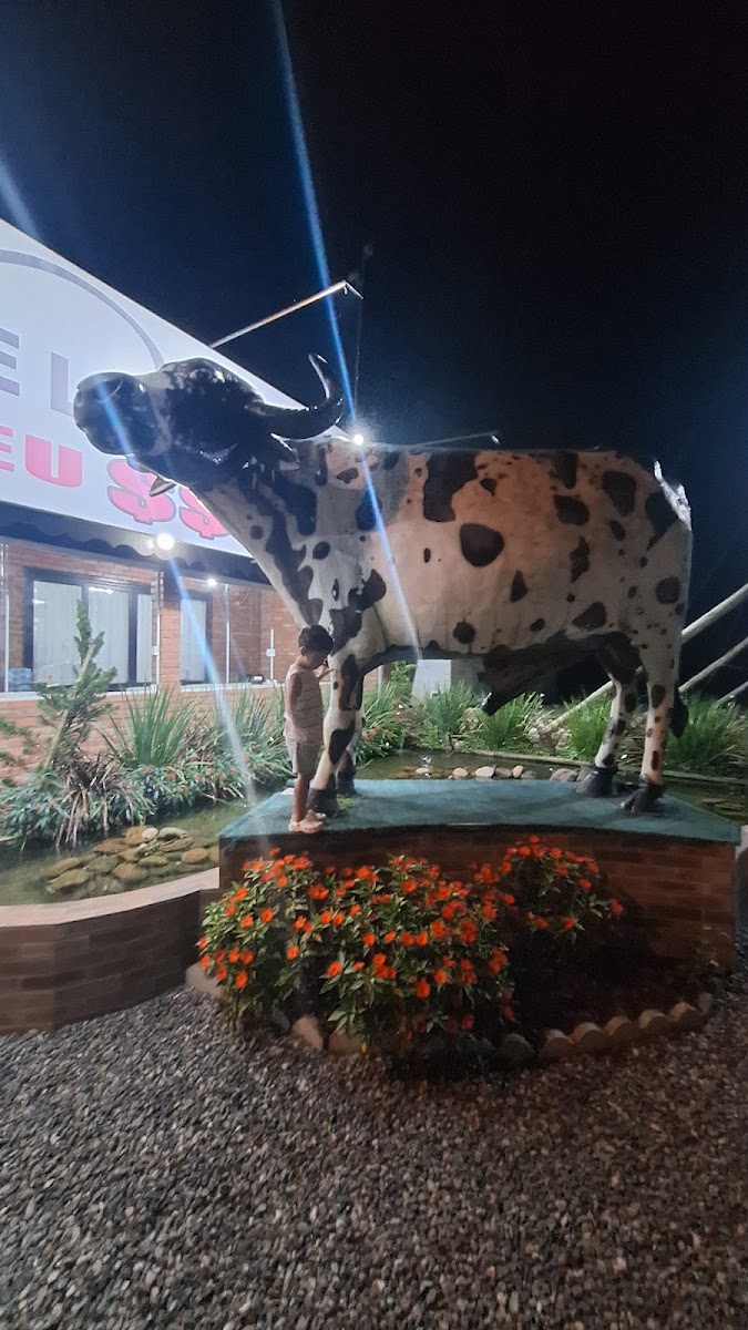 Restaurante E Lanchonete Comida Caseira-2